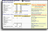 Software Project Cost Estimate Worksheet