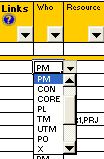 Drop-down data validation