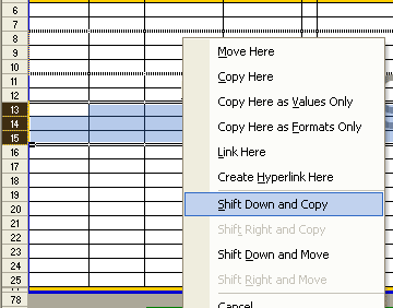 Shift Down and Copy