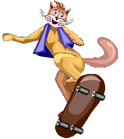 cat on skateboard