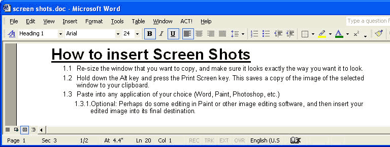 How to Insert Screen Shots