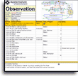 Process Observation template